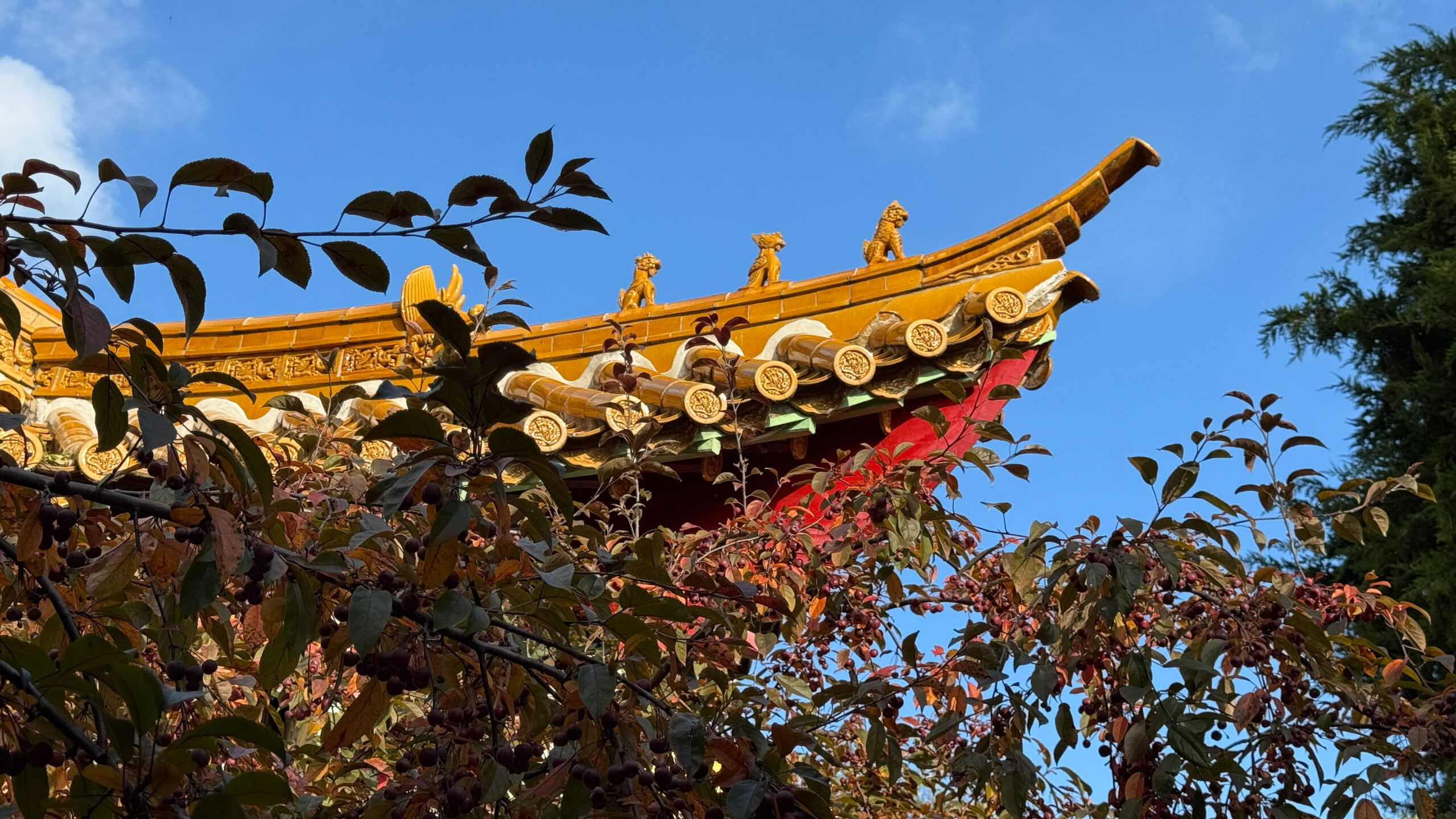 einer der bedeutendsten Tempelgärten außerhalb Chinas.