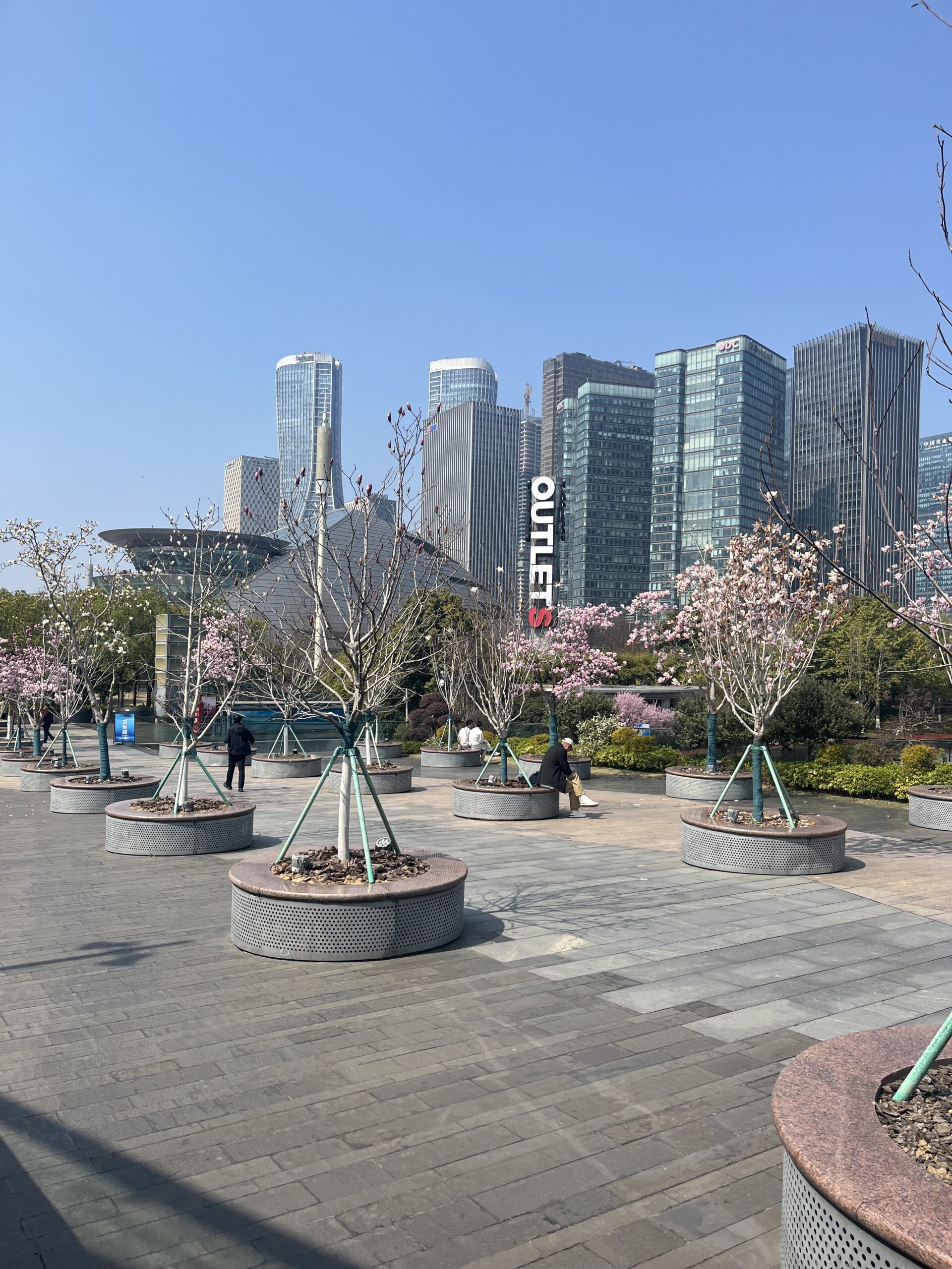 Kurztrip nach Hangzhou im März 2026. Ein persönlicher Erfahrungsbericht.