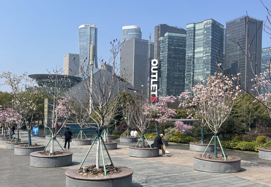 Kurztrip nach Hangzhou im März 2026. Ein persönlicher Erfahrungsbericht.