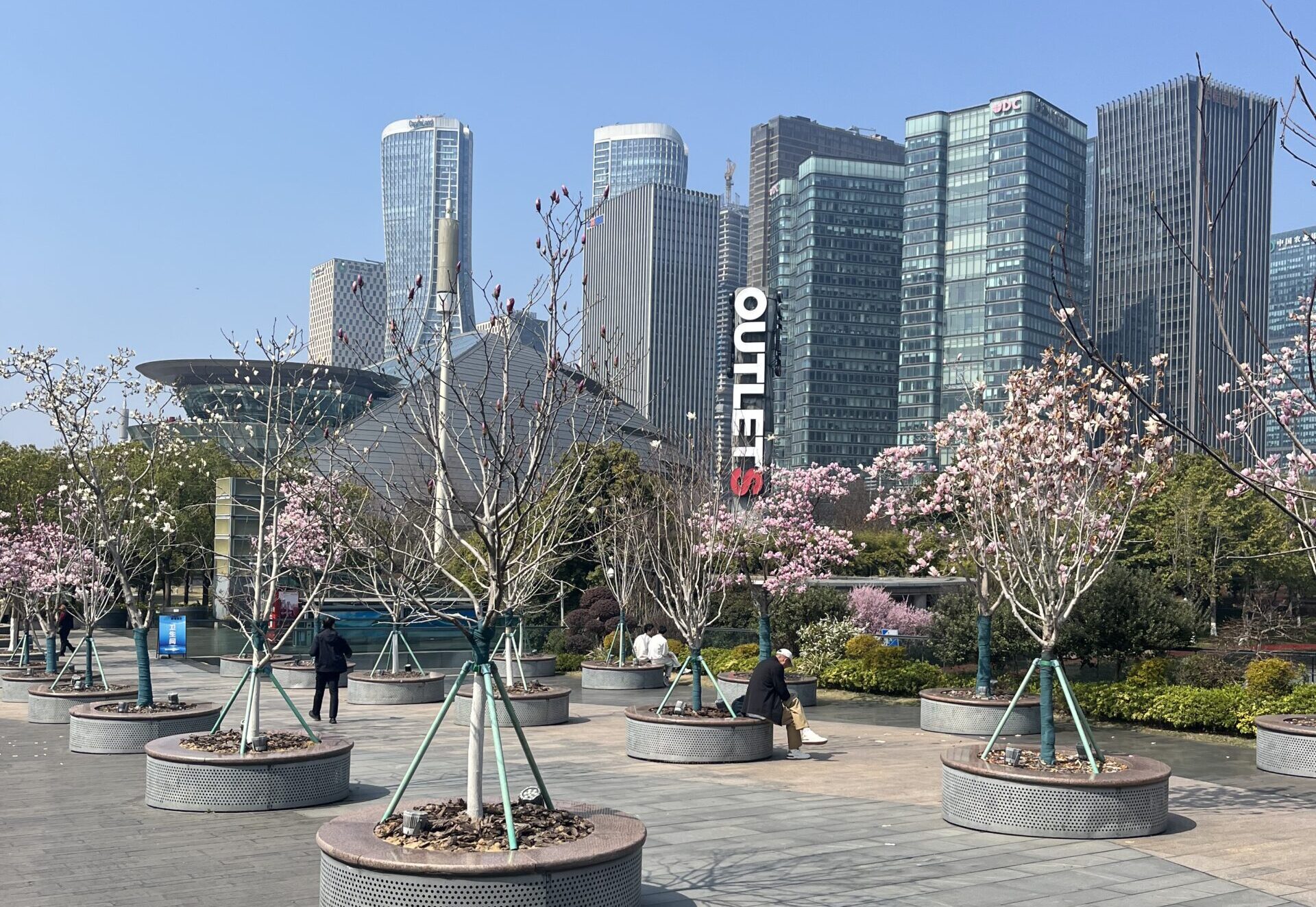 Kurztrip nach Hangzhou im März 2026. Ein persönlicher Erfahrungsbericht.