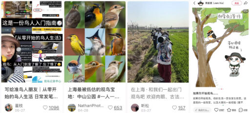 Vögel statt Burnout. Warum Chinas junge Generation mit dem Fernglas durch die Parks zieht.