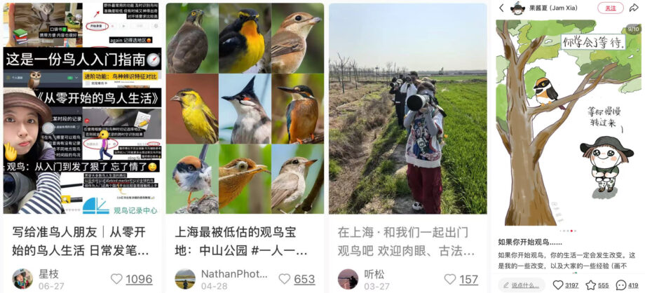 Vögel statt Burnout. Warum Chinas junge Generation mit dem Fernglas durch die Parks zieht.