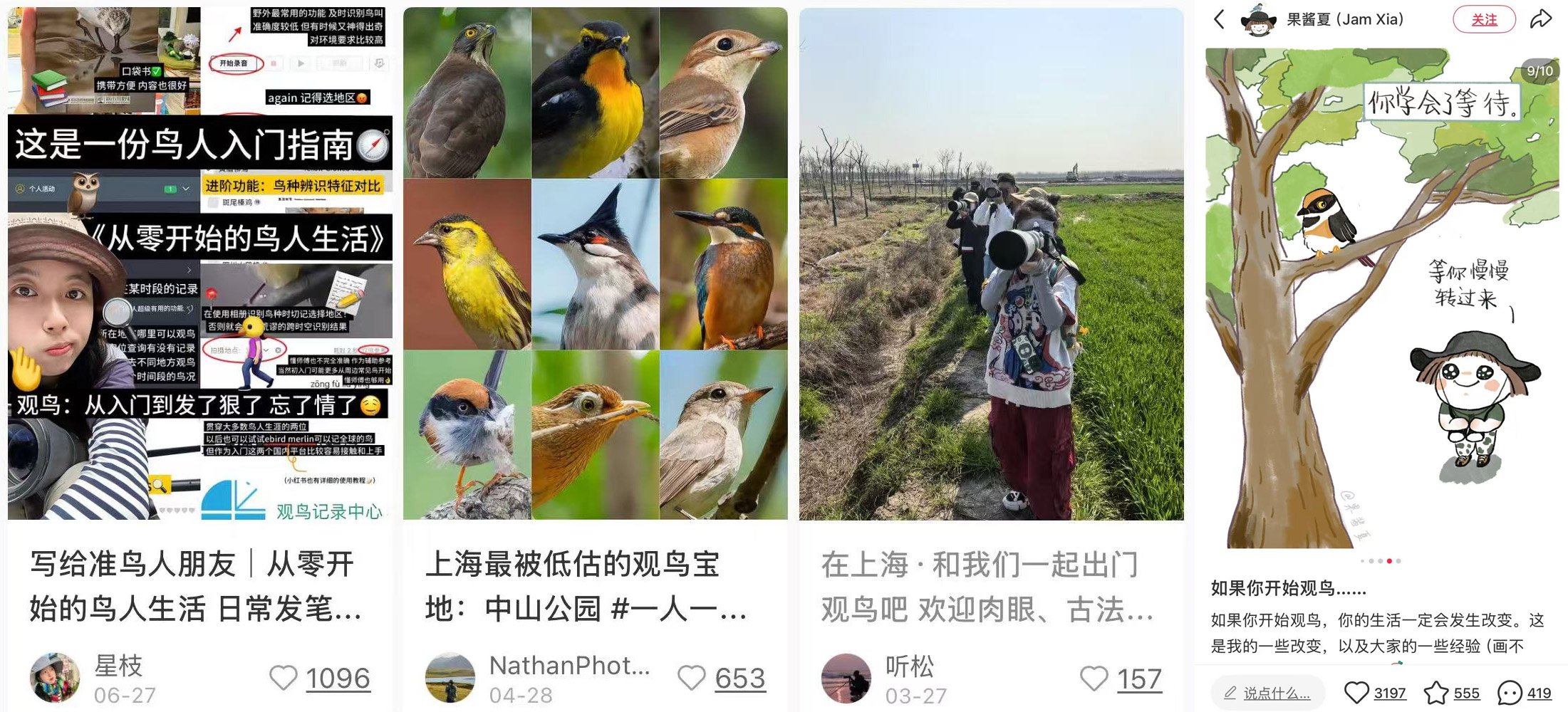 Vögel statt Burnout. Warum Chinas junge Generation mit dem Fernglas durch die Parks zieht.