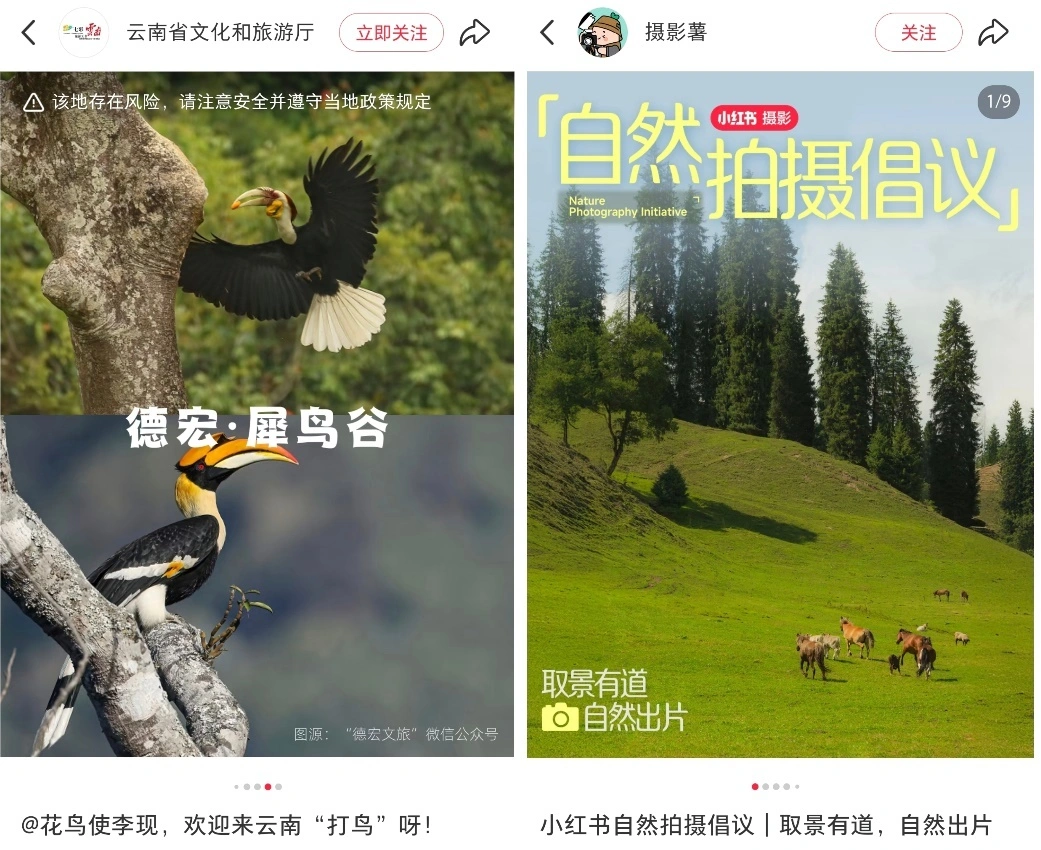 Vögel statt Burnout. Warum Chinas junge Generation mit dem Fernglas durch die Parks zieht.