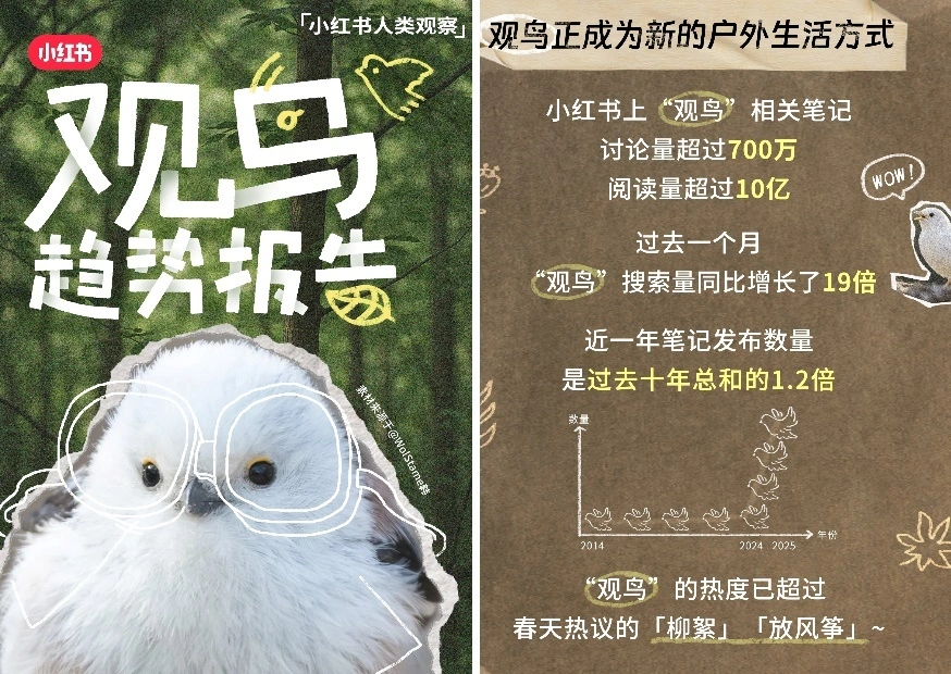 Xiaohongshu's Vogelbeobachtungs-Trendbericht